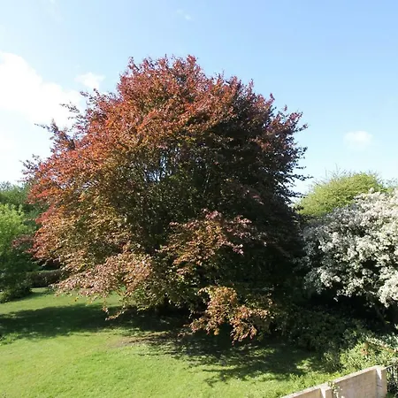 Immenhagen Apartmán *